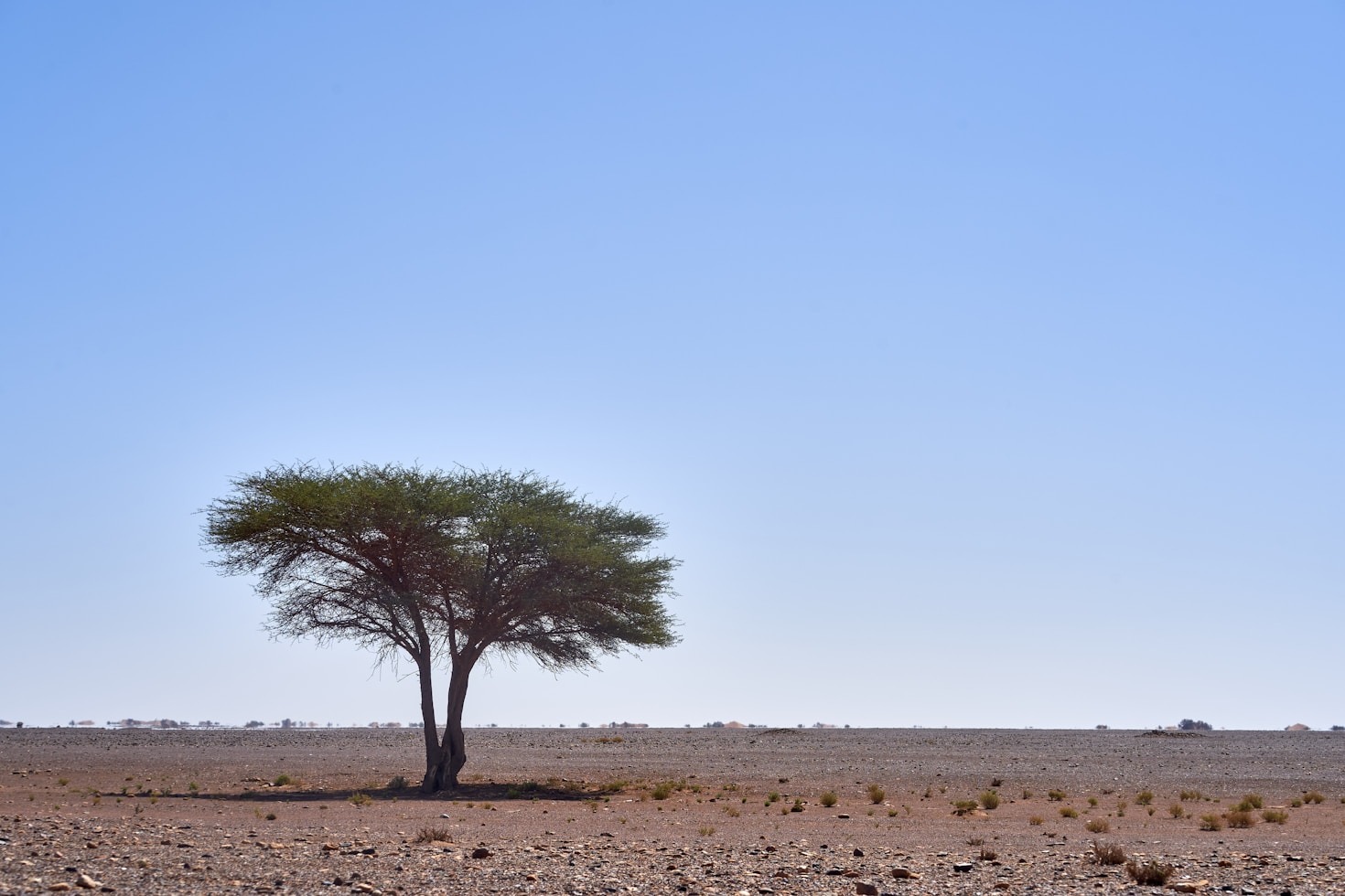 L’impatto reale dei pozzi in Ghana